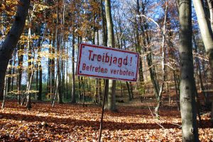 Treibjagd @ Dorfhaus (Großer Saal,Kleiner Saal,Feuerwehr-Fahrzeughalle)