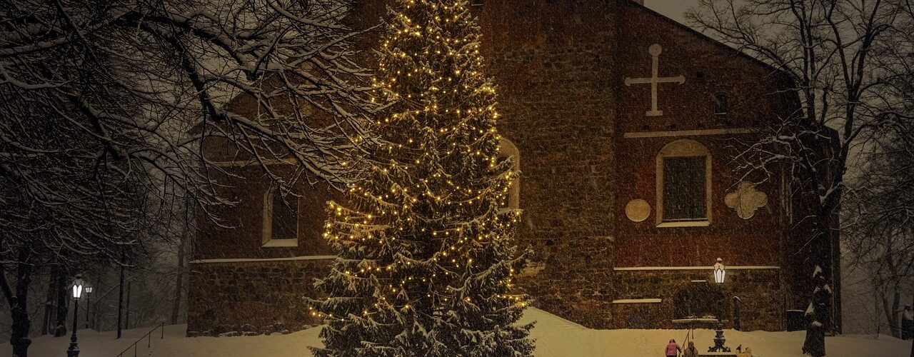 christmas tree, holiday, season