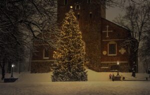 Aufstellen des Weihnachtsbaumes @ Denkmal