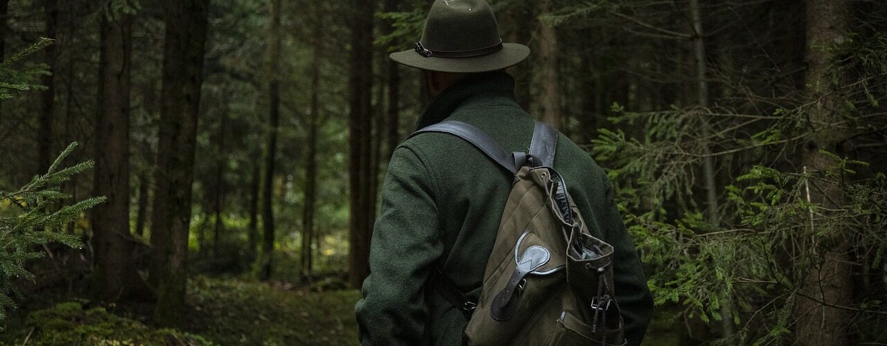 forest, nature, hunter